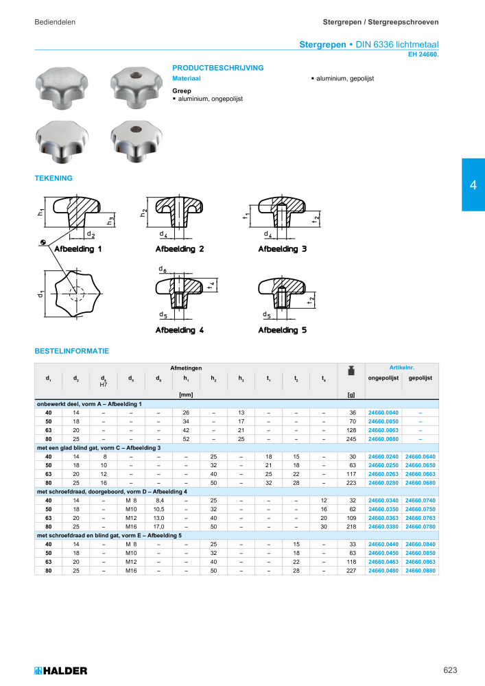 HALDER Hoofdcatalogus Normdelen NR.: 21021 - Pagina 623