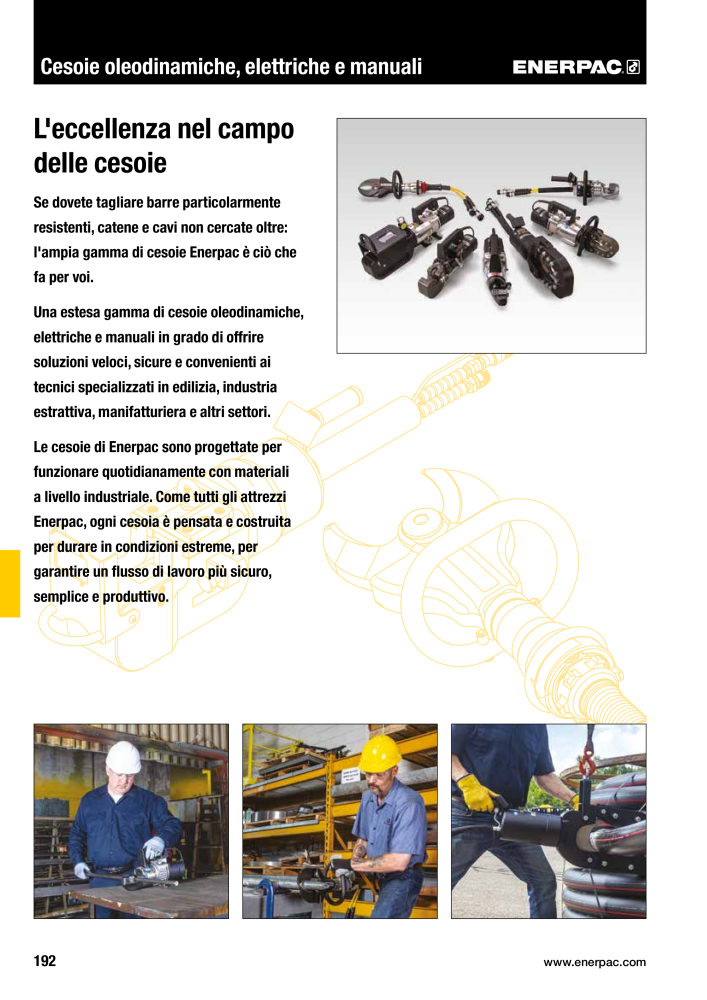 ENERPAC - Attrezzi Industriali n.: 21051 - Pagina 194