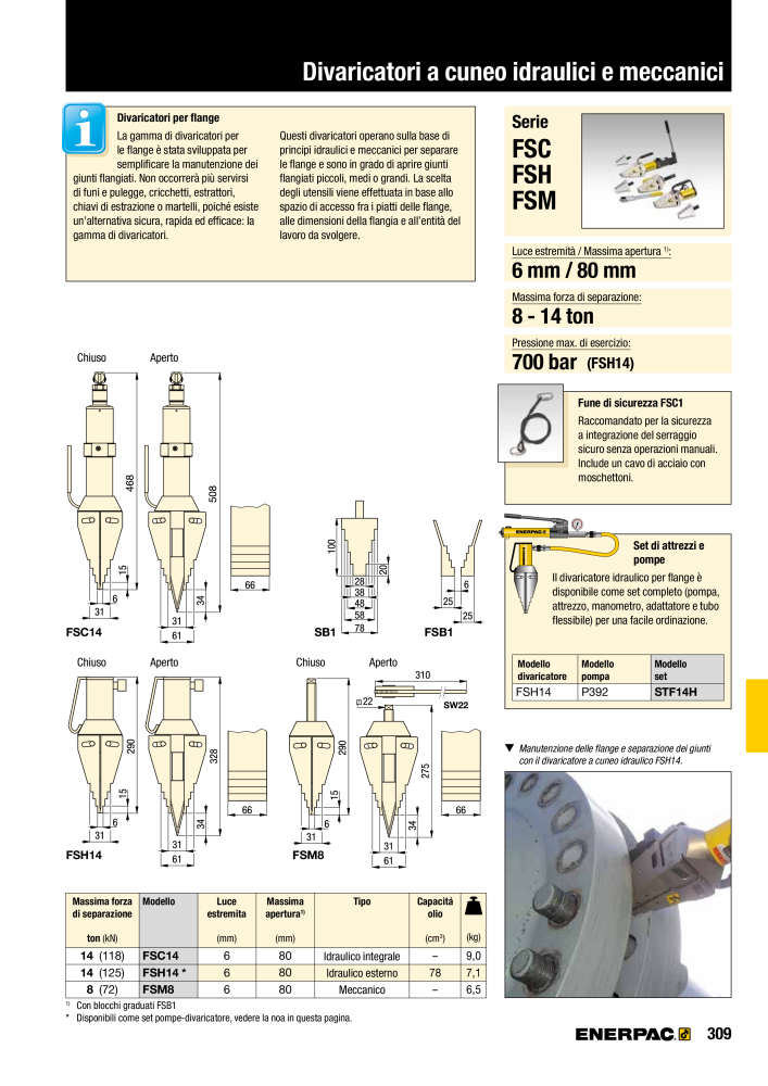 ENERPAC - Attrezzi Industriali n.: 21051 - Pagina 311