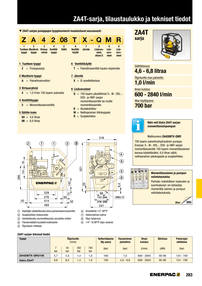 ENERPAC - TEOLLISUUSTYÖKALUT NO.: 21056 - Page 285