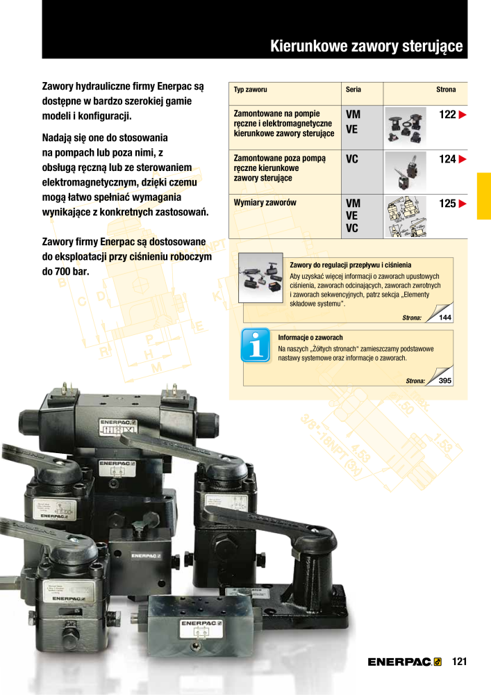 ENERPAC - NARZĘDZIA PRZEMYSŁOWE NEJ.: 21059 - Sida 123