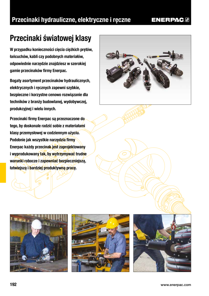 ENERPAC - NARZĘDZIA PRZEMYSŁOWE Nb. : 21059 - Page 194