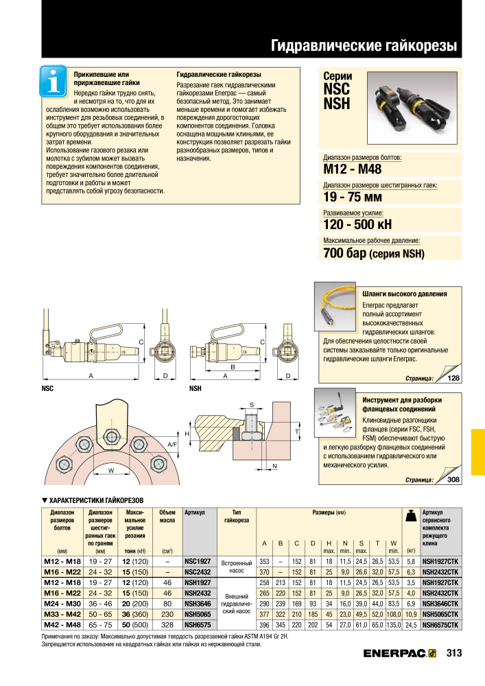 ENERPAC - ПРОМЫШЛЕННЫЕ ИНСТРУМЕНТЫ NEJ.: 21062 - Sida 315