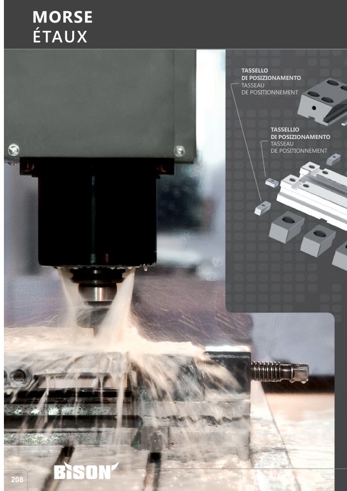 BISON Tecnologia di serraggio del catalogo principale n.: 21286 - Pagina 432
