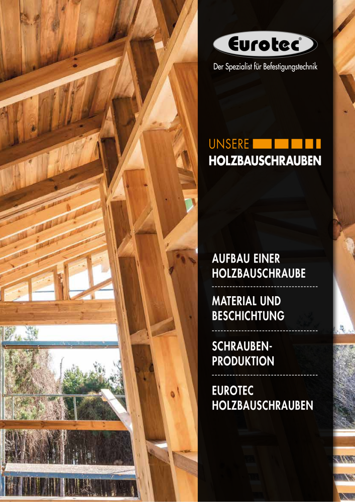 Eurotec Katalog Holzbauschrauben NR.: 21320