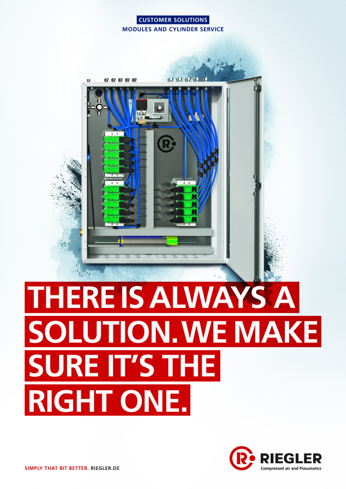 Riegler Brochure: Customer solutions, modules & cylinder service NEJ.: 21402