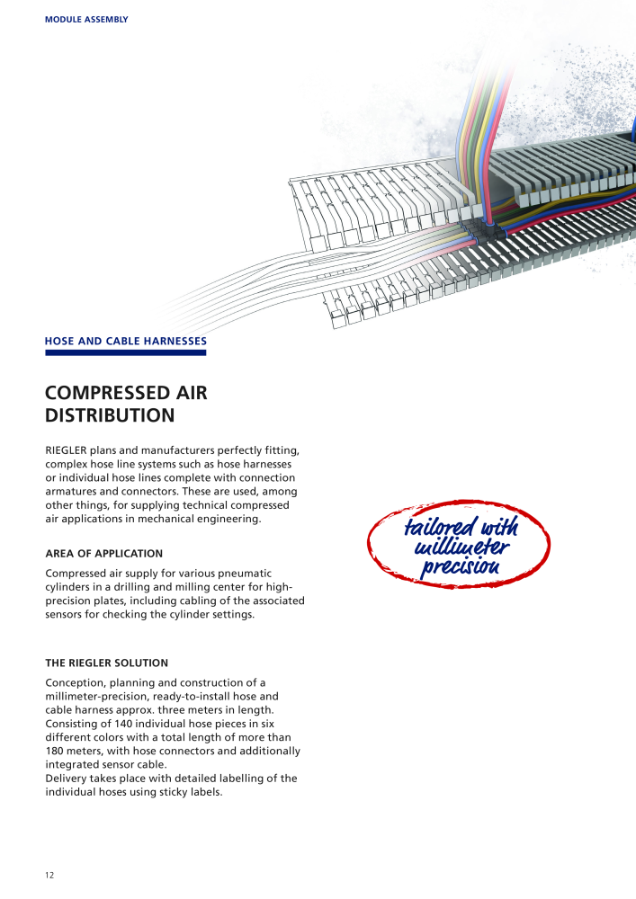 Riegler Brochure: Customer solutions, modules & cylinder service NR.: 21402 - Seite 12