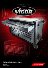 Vigor ASSORTIMENT POUR V4481-X/466 V7468