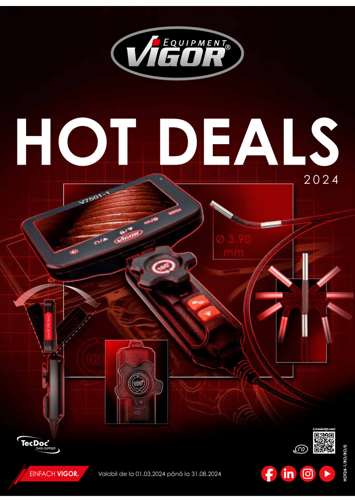 VIGOR Aktion Hot Deals NO.: 754