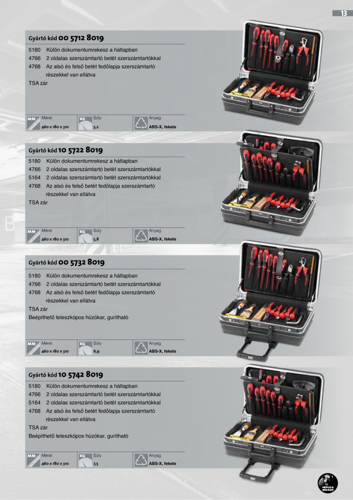 Hepco & Becker SZERSZÁM TÁSKÁK IPARI MINŐSÉG n.: 765 - Pagina 15