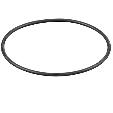 REMS O-ring 060106