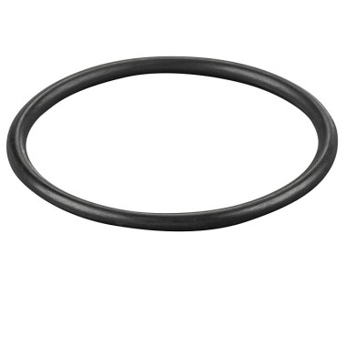 REMS O-ring 060277