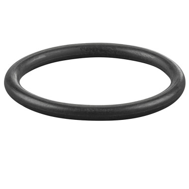 REMS O-ring 060317