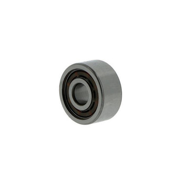 SCHKG 3302 BTNG ID 15mm AD 42mm Breite19mm NSK 10096412