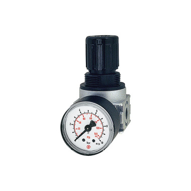 Riegler Cały regulator ciśnienia Drukuj wersję »multifix-mini«, G 1/4, 0,1-3 bar 100348