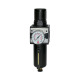 Riegler Filtr-regulator »multifix«, pojemnik metalowy i tubus, BG 1, G 1/4 100493