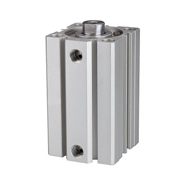 Riegler Cylinder krótkoskokowy „ACQ” dwustronnego działania, tłok Ø 100, skok 40, G 3/8 115040