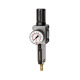 Riegler Filtr regulatora »FUTURA«, MB, SR, Mano, BG 1, G 1/4, 0,1-1 bar, VA 151838