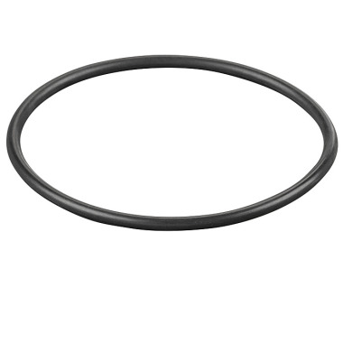 REMS O-ring 060108