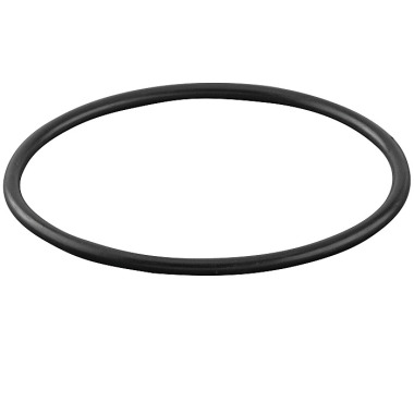 REMS O-ring 060131