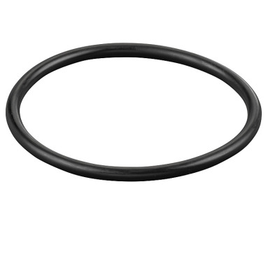 REMS O-ring 060168