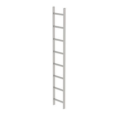 MUNK Shaft ladder, V4A stainless steel, 300 mm clear width 8 rungs 62008