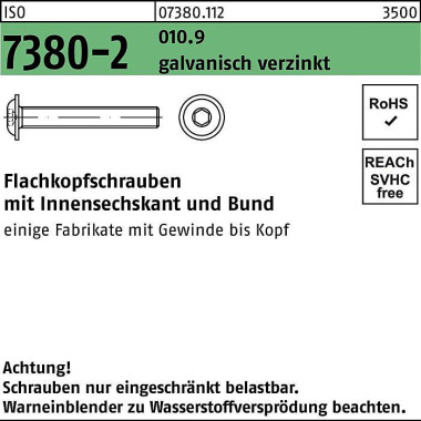 Flachkopfschraube ISO 738 0-2 Bund/Innen-6kt M8x12 010.9 galv.verz. 200St. 073801120080012