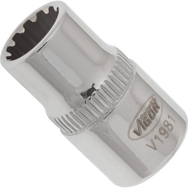 Vigor Inserto de chave de caixa multiperfil - quadrado oco 6,3 mm (1/4 pol.) - multiperfil - 8 V1981