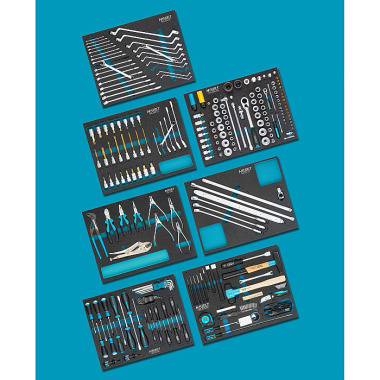 HAZET Variedade de ferramentas - número de ferramentas: 242 0-2500-163/242
