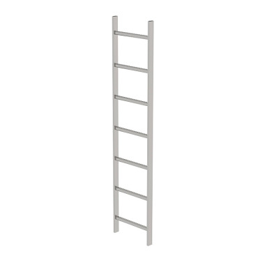 MUNK Shaft ladder, V4A stainless steel, 400 mm clear width 7 rungs 63007