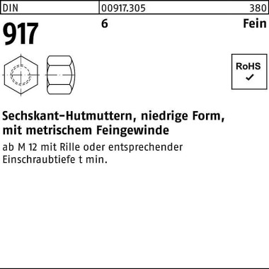 Sechskanthutmutter DIN 91 7 niedrige FormM12x 1,5 S W 19 6 50 Stück 009173050120150