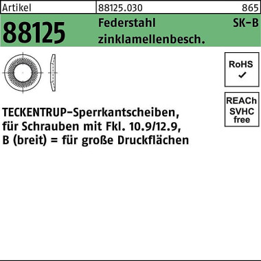 Sperrkantscheibe R 88125 B 8x22,25x1,9 Federst. zi nklamellenb. 250St. TECKE NTRUP 881250309080000